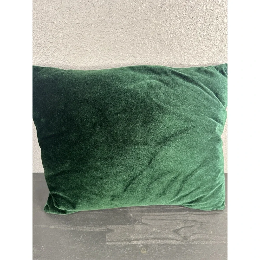 Green Velveteen Christmas Holiday Winter Pillow‎ (14